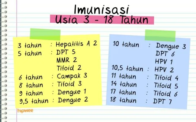 Daftar Imunisasi Anak Lengkap dengan Kalendernya. Calon Orangtua, Wajib Baca! 11
