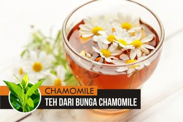 Nggak Cuma Teh Hitam dan Teh Hijau Aja, Minuman Teh Punya Banyak Varian Jenis. Inilah 10 Contohnya 18