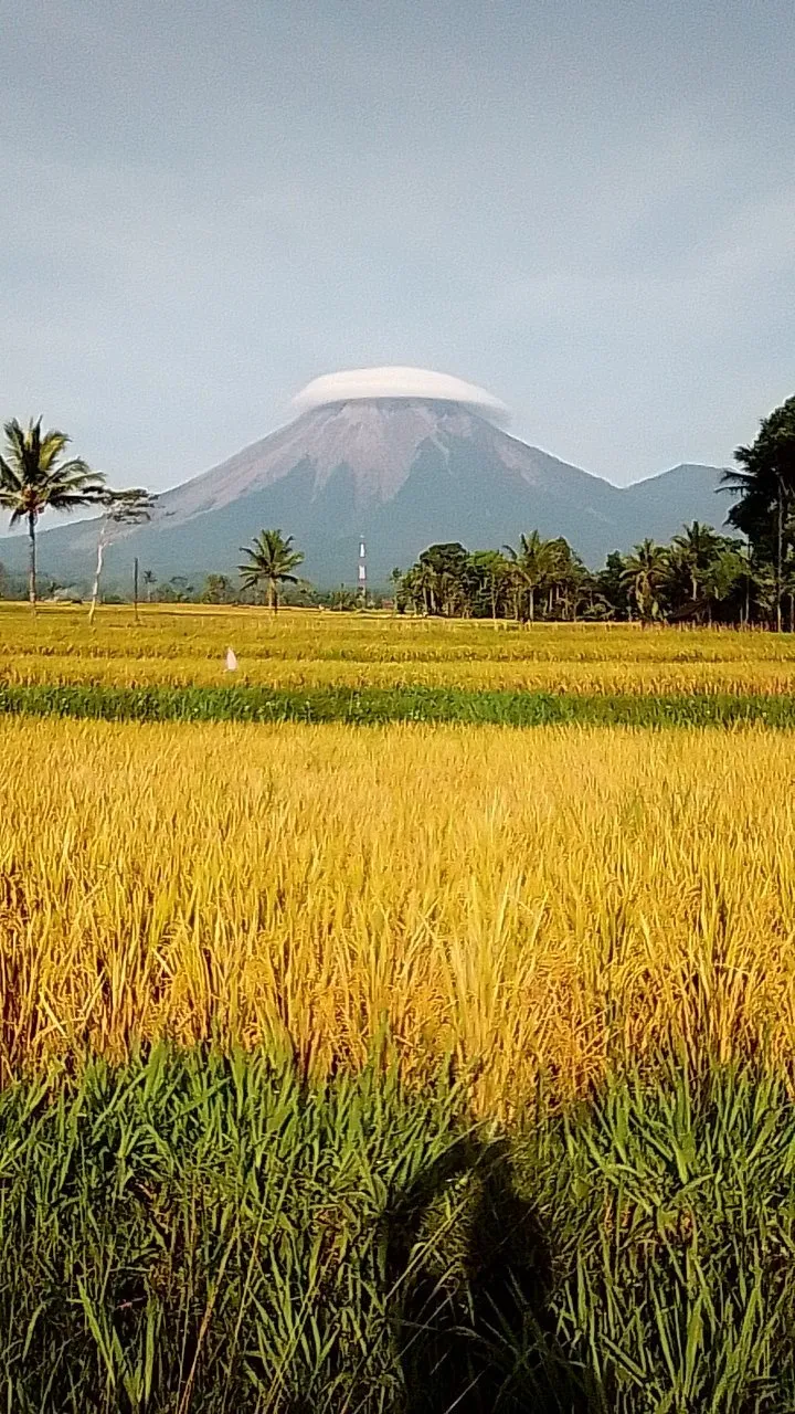 Fenomena Gunung Semeru 'Bertopi' yang Viral di Sosial Media. Pak Sutopo: Bisa Buat Foto Prewedding 6