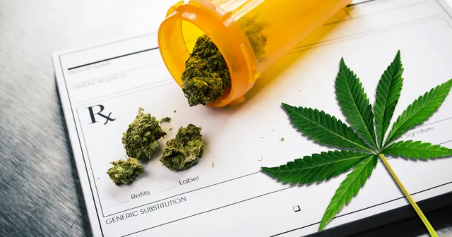 Ganja Mulai Populer Jadi Bahan Baku Kosmetik. Katanya Sih Nggak Bakal Bikin 'Fly' 8