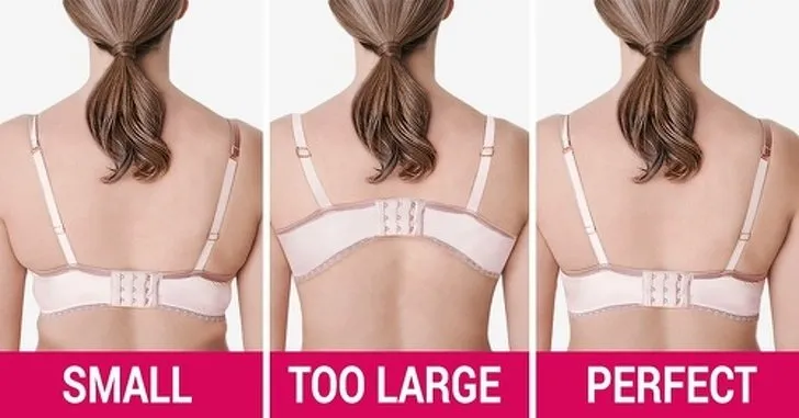 9 Jenis Bra yang Aman & 5 Lainnya yang Bahaya Buat Payudara. Demi Menjaga Aset Masa Depan Nih! 25