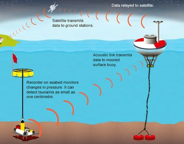 Mengenal Sistem Peringatan Dini Tsunami di Indonesia Bekerja, Mulai Dari Buoy, Sampai Tide Gauge 9