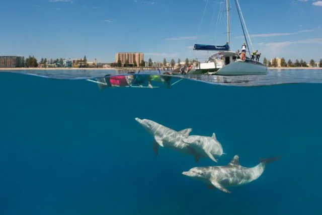 6 Tempat Asik di Australia yang Bisa Kamu Datangi. Cocok Buat yang Pengen Ngerasain Liburan ke Luar Negeri! 12