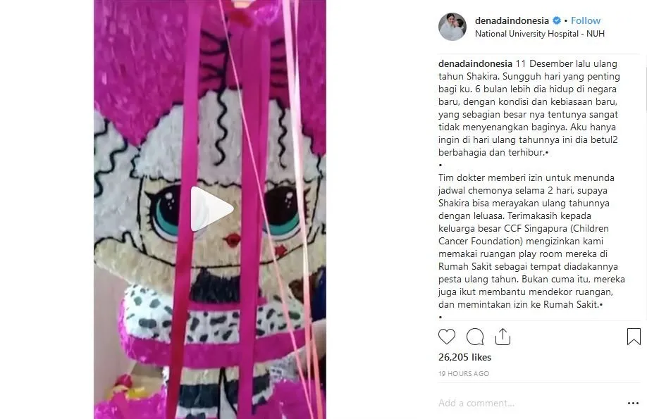 Demi Wujudkan Impian sang Anak, Denada Rela Diam-Diam Jadi Badut di Perayaan Ultah Shakira. Terharu~ 5