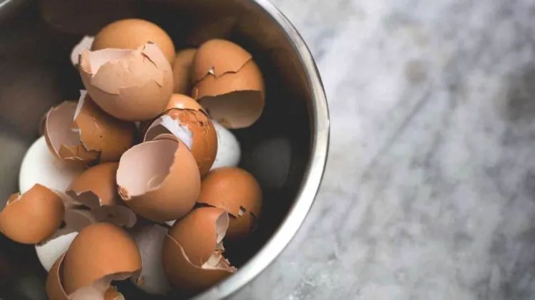 10 Objek Absurd yang Ternyata Bisa Aja Dimakan Kalau Mau. Dari Kapur, Batang Pohon, Sampai Tanah! 12