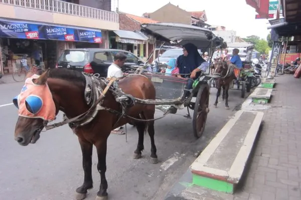 Kuda Andong di Malioboro Tumbang, Katanya Gara-gara Diklakson Waktu Macet. Kasihan Banget Kudanya! 5