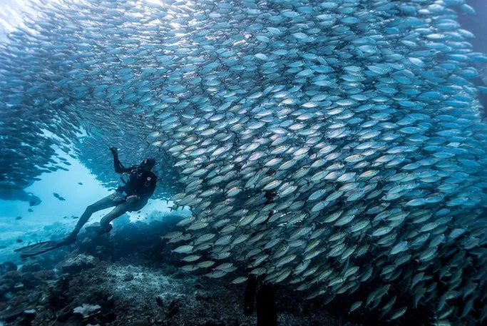 7 Destinasi Wisata Pantai di Indonesia yang Cocok Untuk Syuting Film Aquaman. Pesonanya Nggak Kalah! 12