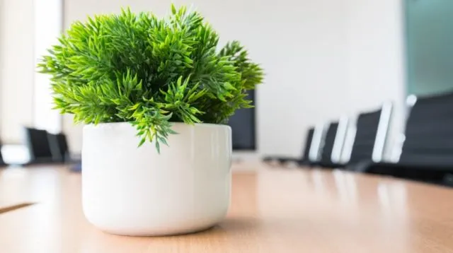 Lembur di Kantor Memang Tak Selalu Menyenangkan, Tapi 11+ Barang Ini Membuat Hidupmu Dimudahkan 23