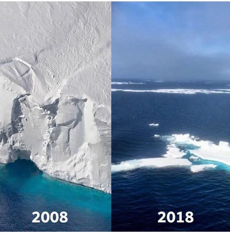 10+ Unggahan #10YearChallenge yang Seharusnya Jadi Perhatian Kita Bersama. Bikin Miris & Prihatin 14