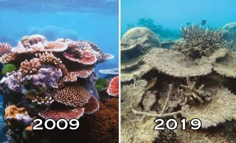 10+ Unggahan #10YearChallenge yang Seharusnya Jadi Perhatian Kita Bersama. Bikin Miris & Prihatin 22