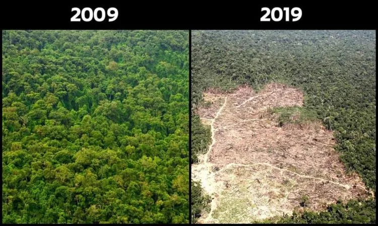 10+ Unggahan #10YearChallenge yang Seharusnya Jadi Perhatian Kita Bersama. Bikin Miris & Prihatin 19