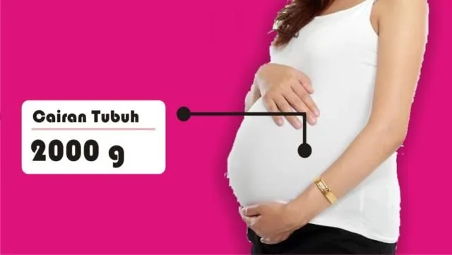 8 Asal Muasal Penambahan Berat Badan Ibu Hamil. Penasaran kan Kenapa Bisa Naik Belasan Kilo? 15