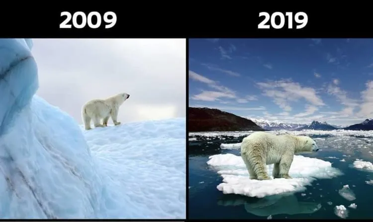 10+ Unggahan #10YearChallenge yang Seharusnya Jadi Perhatian Kita Bersama. Bikin Miris & Prihatin 17
