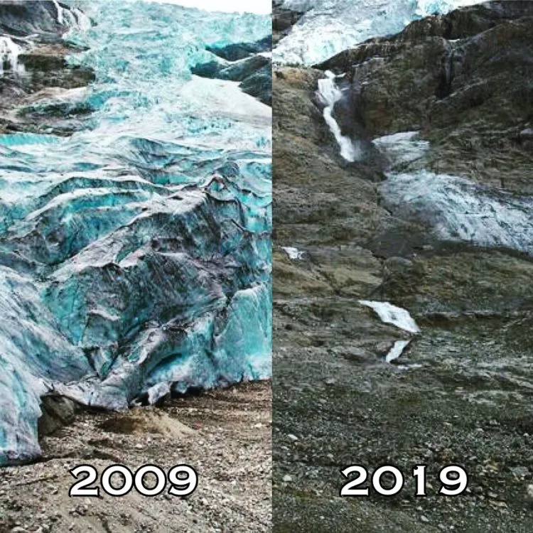 10+ Unggahan #10YearChallenge yang Seharusnya Jadi Perhatian Kita Bersama. Bikin Miris & Prihatin 18