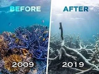 10+ Unggahan #10YearChallenge yang Seharusnya Jadi Perhatian Kita Bersama. Bikin Miris & Prihatin 21