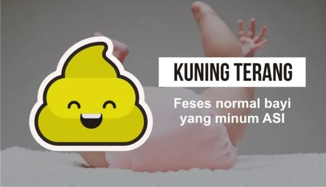 Pintar Mengenal 7 Warna Feses Bayi, Jadi Penanda Kondisi Kesehatan Sang Buah Hati 9