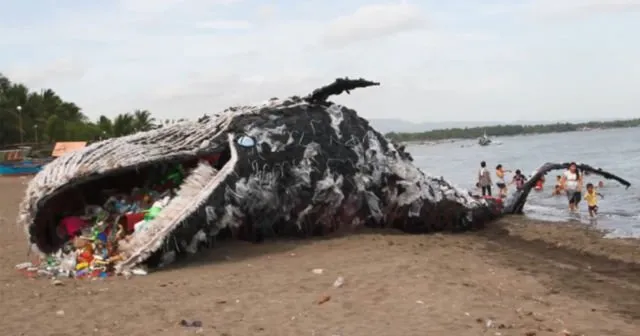 Hewan Makin Sering Tertipu Anggap Plastik Itu Makanan. Kalau Tahu Alasannya, Kamu Akan Miris Sendiri 8