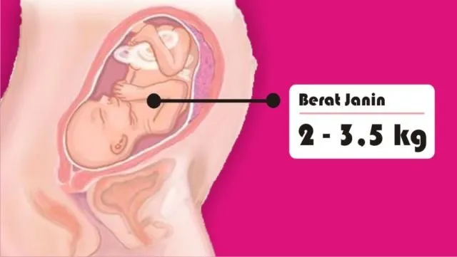 8 Asal Muasal Penambahan Berat Badan Ibu Hamil. Penasaran kan Kenapa Bisa Naik Belasan Kilo? 9
