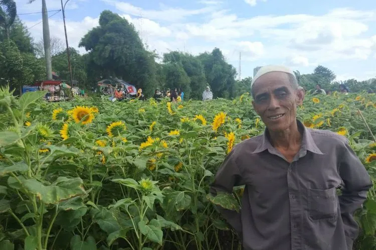 Kebun Bunga Matahari di Tangerang Viral di Media Sosial. Sudahkah Kamu Berkunjung ke Sana? 7
