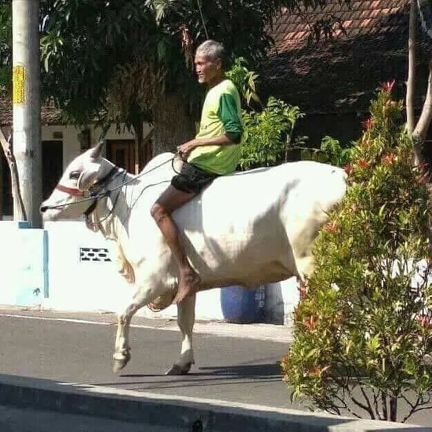 15 Potret Bapak-bapak Lawak yang Bikin Ngakakmu Awet Kayak Mendung Sore ini. Kacau, Kocak Banget! 16