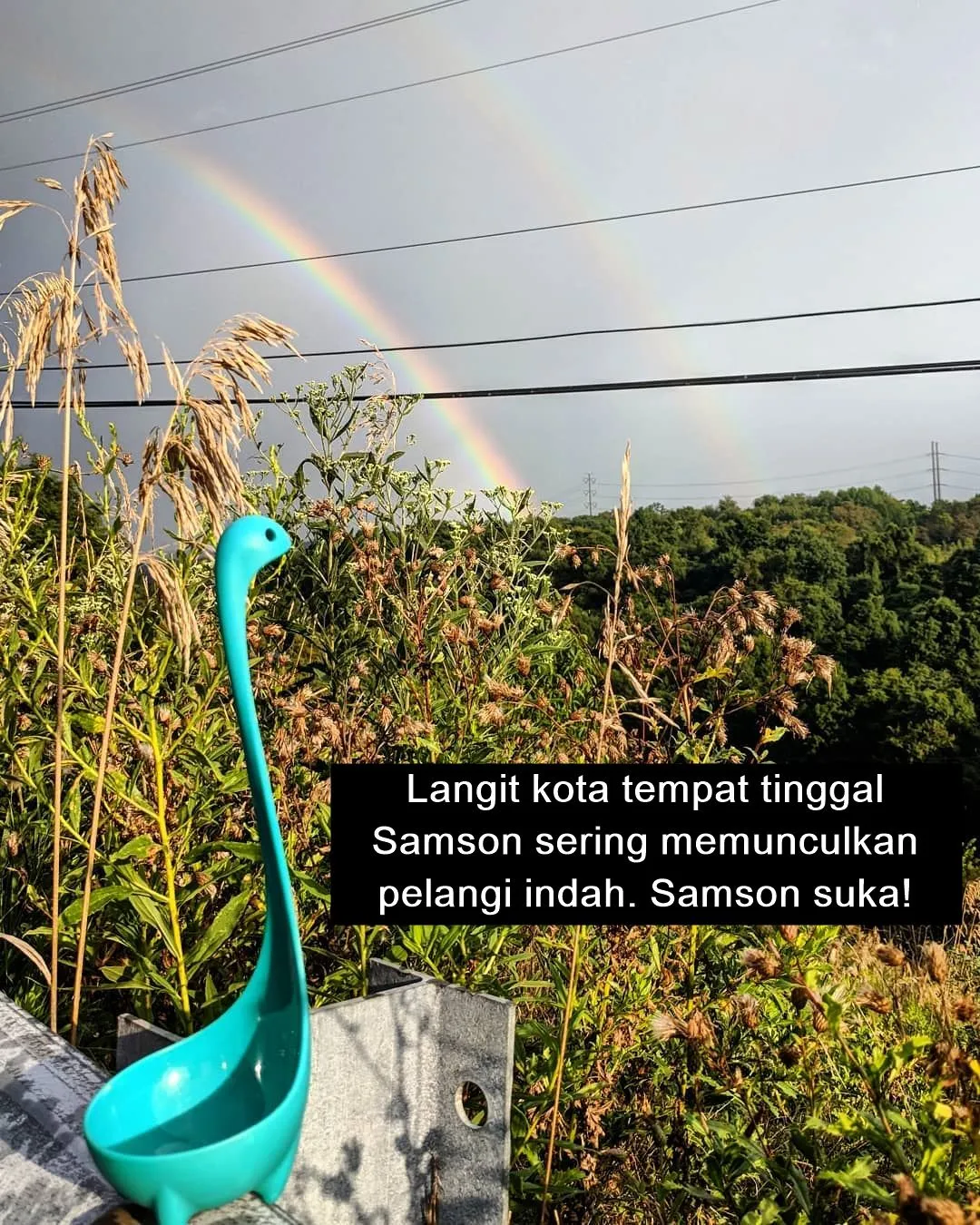 Sekelumit Kisah dari Sebuah Sendok Sup yang Kini Jadi Selebgram. Udah Nerima Endorsement Belum, Ya? 24