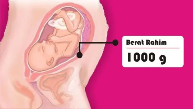 8 Asal Muasal Penambahan Berat Badan Ibu Hamil. Penasaran kan Kenapa Bisa Naik Belasan Kilo? 10