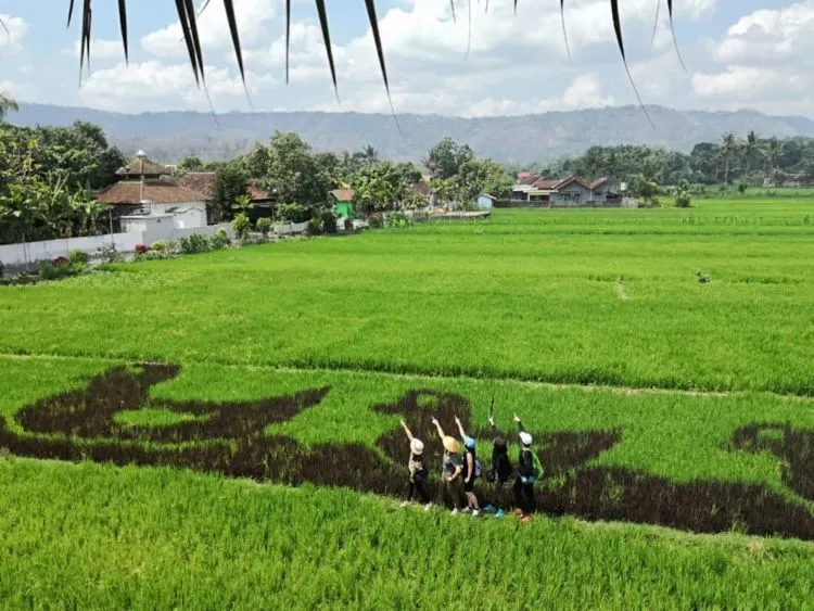 Sawah Kreasi Jogja, Destinasi Instagramable dengan Aneka Gambar Lucu di Sawah. Unyu Banget Sih! 5