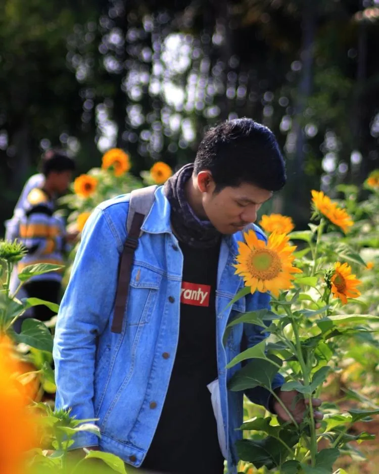 Kebun Bunga Matahari di Tangerang Viral di Media Sosial. Sudahkah Kamu Berkunjung ke Sana? 5