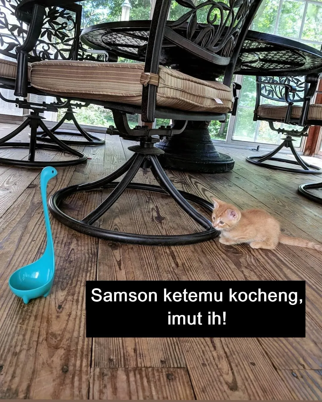 Sekelumit Kisah dari Sebuah Sendok Sup yang Kini Jadi Selebgram. Udah Nerima Endorsement Belum, Ya? 17