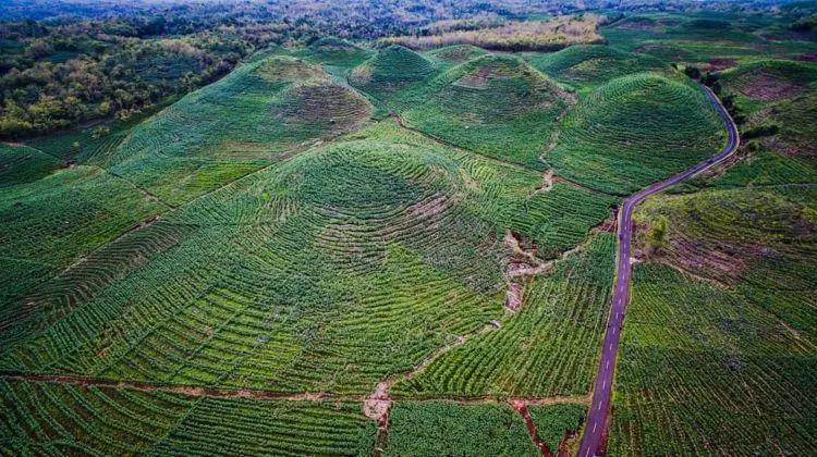 Gunung Bagus, Destinasi Ala Bukit Teletubbies yang Viral di Gunungkidul. Disebut Sebagai Sumbanya Jogja! 11