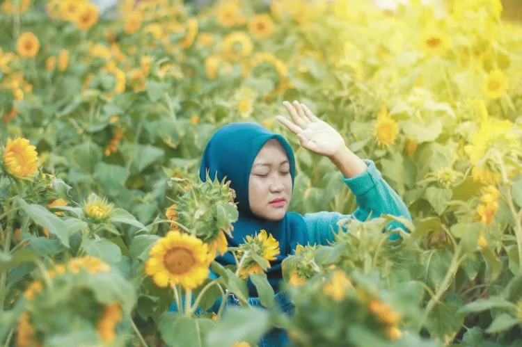 Sunflower Garden, Destinasi Kebun Bunga Matahari yang Hits di Kediri. Instagramable Banget Deh! 12