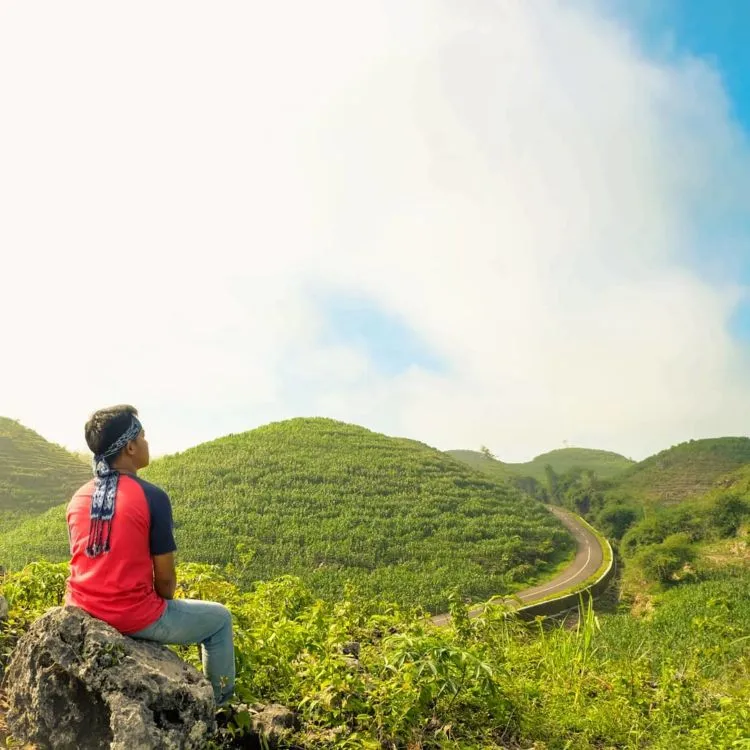 Gunung Bagus, Destinasi Ala Bukit Teletubbies yang Viral di Gunungkidul. Disebut Sebagai Sumbanya Jogja! 12