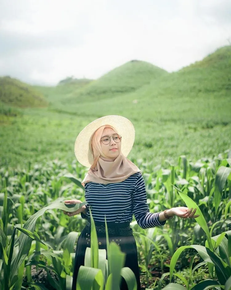 Gunung Bagus, Destinasi Ala Bukit Teletubbies yang Viral di Gunungkidul. Disebut Sebagai Sumbanya Jogja! 7