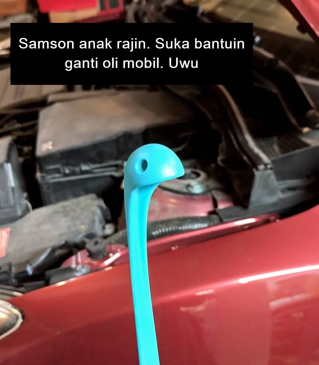 Sekelumit Kisah dari Sebuah Sendok Sup yang Kini Jadi Selebgram. Udah Nerima Endorsement Belum, Ya? 22