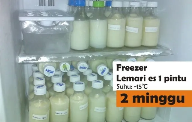 8 Pedoman Menyimpan ASI Perah Supaya Kualitasnya Tetap Terjaga. Perhatikan, Ya! 13