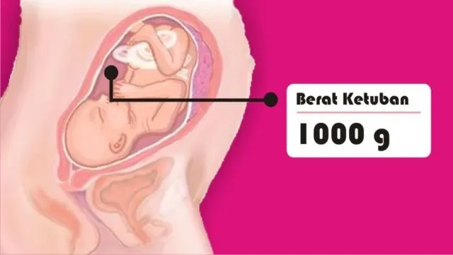 8 Asal Muasal Penambahan Berat Badan Ibu Hamil. Penasaran kan Kenapa Bisa Naik Belasan Kilo? 11