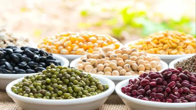 8 Makanan Kaya Zat Besi agar Ibu Hamil Tidak Anemia. Kan Darahmu Akan Mengalir di Dua Jiwa 13