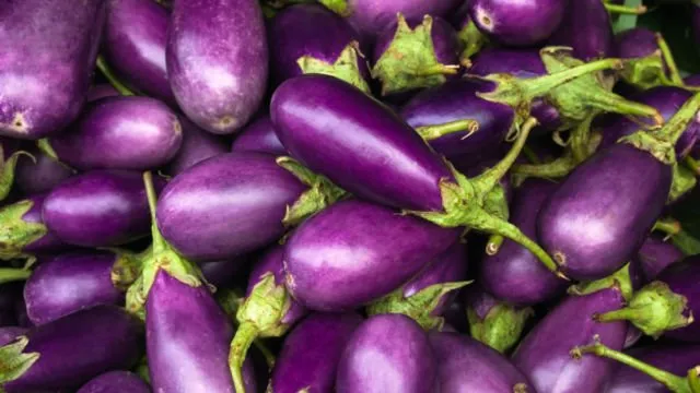 10+ Warna yang Hampir Serupa Tapi Beda Nama. Nggak Sekadar 'Muda' atau 'Tua' Saja 20