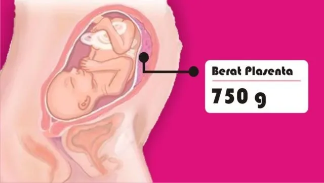 8 Asal Muasal Penambahan Berat Badan Ibu Hamil. Penasaran kan Kenapa Bisa Naik Belasan Kilo? 12
