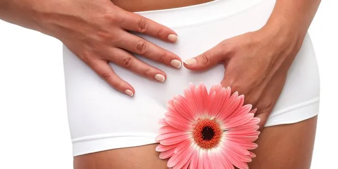 Habis Nikah Langsung Program Hamil? 6 Tanda Masa Subur Kasat Mata Ini Wajib Selalu Kamu Cermati 8
