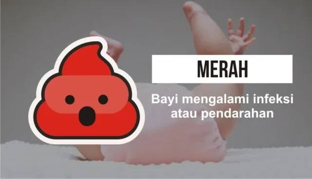 Pintar Mengenal 7 Warna Feses Bayi, Jadi Penanda Kondisi Kesehatan Sang Buah Hati 14