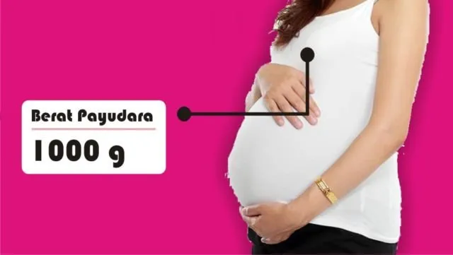 8 Asal Muasal Penambahan Berat Badan Ibu Hamil. Penasaran kan Kenapa Bisa Naik Belasan Kilo? 13