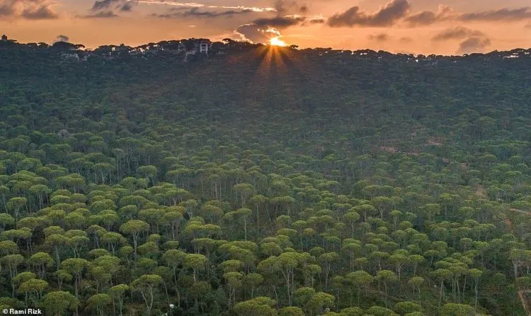 13 Foto Keindahan Negara Lebanon yang Mengagumkan. Nggak Nyangka Timur Tengah Sehijau Ini! 14