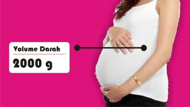 8 Asal Muasal Penambahan Berat Badan Ibu Hamil. Penasaran kan Kenapa Bisa Naik Belasan Kilo? 14