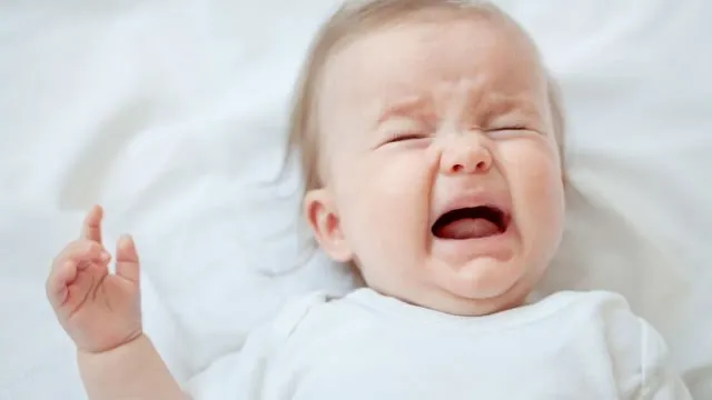 Brilian, Dosen IPB Ini Ciptakan Aplikasi untuk Terjemahkan Tangisan Bayi. Mama Papa Kini Tak Perlu Panik Lagi~ 7