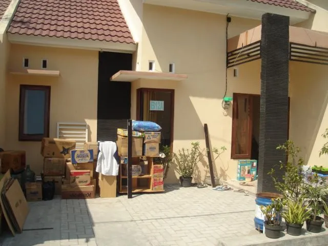 6 Cara Mencegah Ular Masuk Rumah. Bukan Ditaburi Garam, Salah Kaprah! 7