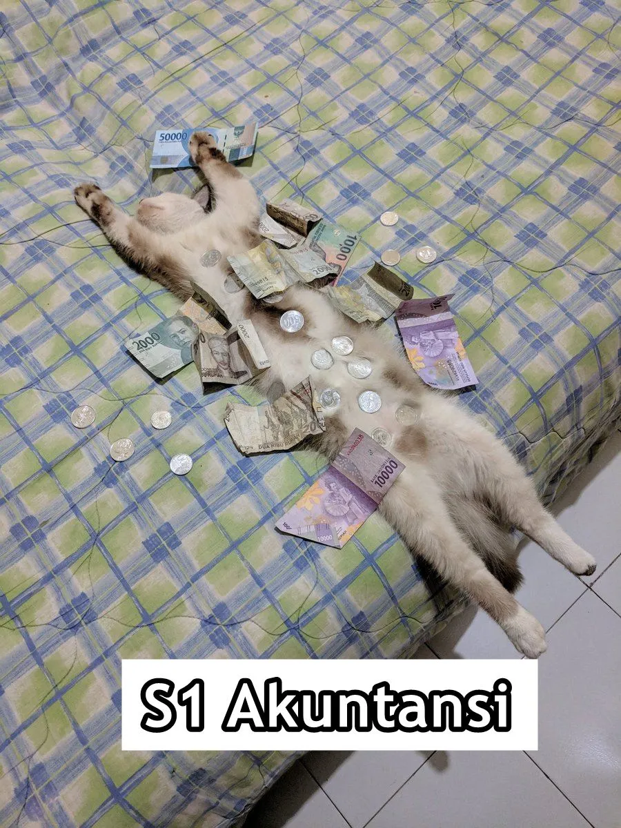 Andai Kucing Bisa Mengenyam Pendidikan, Mungkin ini 15 Jurusan yang Mereka Geluti. Gemes Liatnya! 27