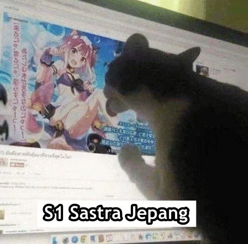 Andai Kucing Bisa Mengenyam Pendidikan, Mungkin ini 15 Jurusan yang Mereka Geluti. Gemes Liatnya! 22