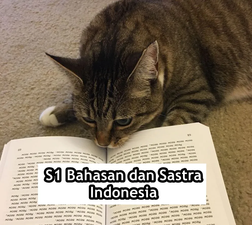 Andai Kucing Bisa Mengenyam Pendidikan, Mungkin ini 15 Jurusan yang Mereka Geluti. Gemes Liatnya! 24
