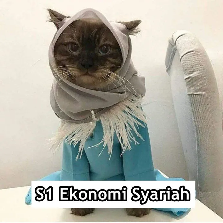 Andai Kucing Bisa Mengenyam Pendidikan, Mungkin ini 15 Jurusan yang Mereka Geluti. Gemes Liatnya! 25